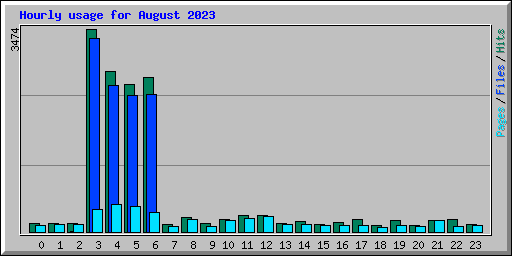 Hourly usage for August 2023